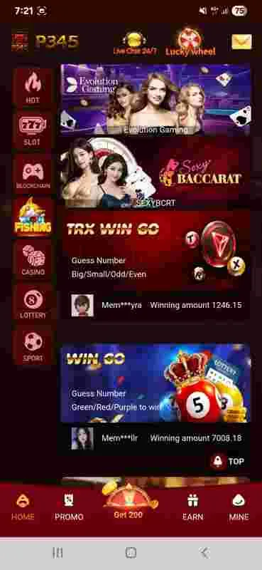P345 Game